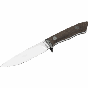 Collection 2022 - Edition limitée