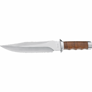 Giant Bowie