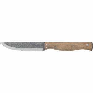 Narrowsaur