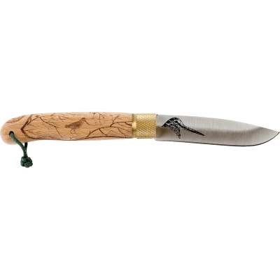 Série Chasse - Focus Bécasse