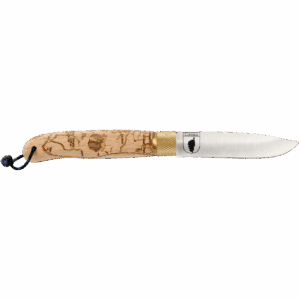 Corse Hêtre