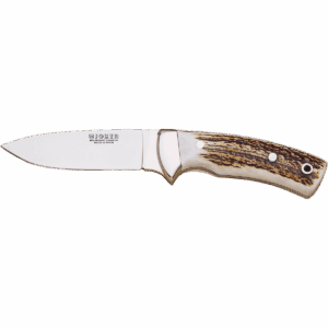 Corzo
