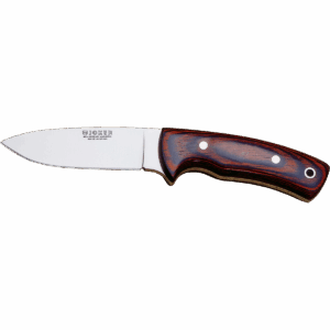 Corzo