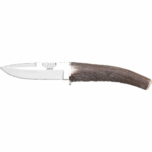Zorzal