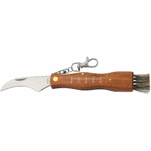 Couteau à champignon