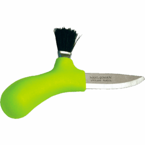 Champignon